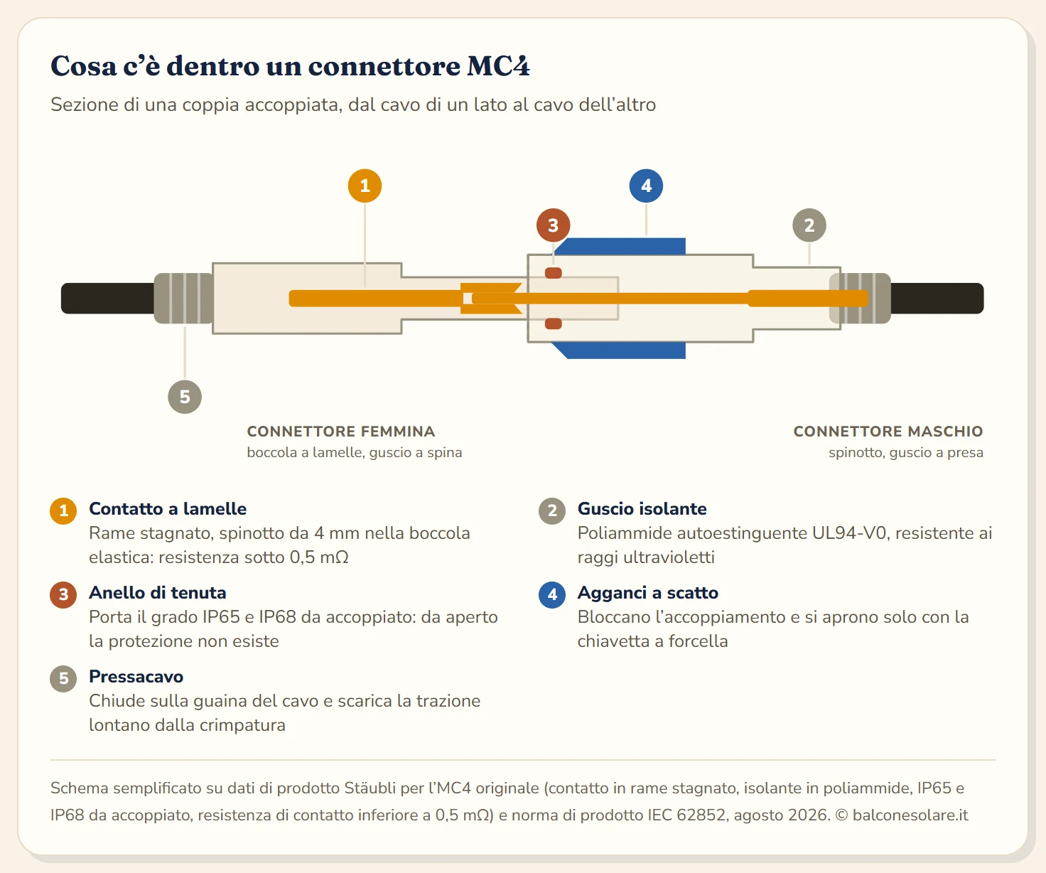 Schema in sezione di un connettore MC4 accoppiato, con i cinque elementi numerati: il contatto metallico a lamella in rame stagnato, il guscio isolante in poliammide, l'anello di tenuta che porta il grado IP68, il pressacavo che serra la guaina del cavo e gli agganci a scatto laterali che si aprono solo con la chiavetta.